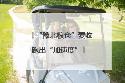 “豫北粮仓”麦收跑出“加速度”
