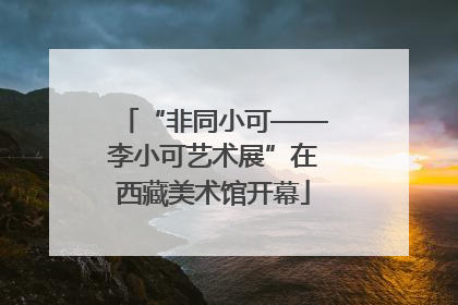 “非同小可——李小可艺术展”在西藏美术馆开幕