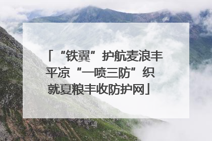“铁翼”护航麦浪丰 平凉“一喷三防”织就夏粮丰收防护网