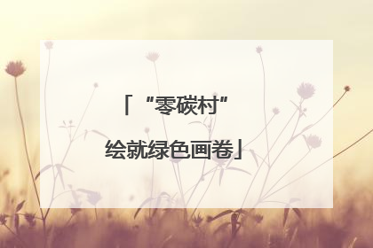 “零碳村” 绘就绿色画卷