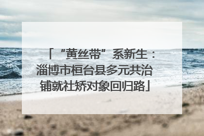 “黄丝带”系新生：淄博市桓台县多元共治铺就社矫对象回归路