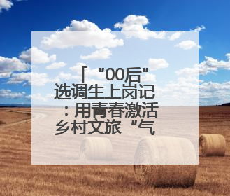 “00后”选调生上岗记：用青春激活乡村文旅“气象万千”