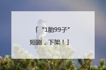 “1胎99子”短剧，下架！