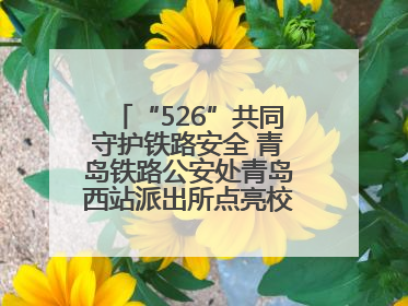 “526”共同守护铁路安全 青岛铁路公安处青岛西站派出所点亮校园爱路之光