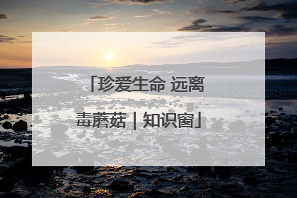 珍爱生命 远离毒蘑菇｜知识窗