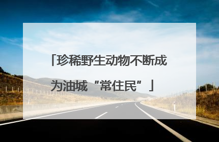 珍稀野生动物不断成为油城“常住民”