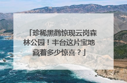 珍稀黑鹳惊现云岗森林公园！丰台这片宝地藏着多少惊喜？