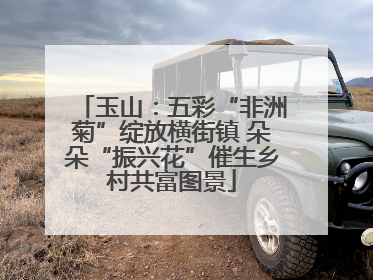玉山：五彩“非洲菊”绽放横街镇 朵朵“振兴花”催生乡村共富图景