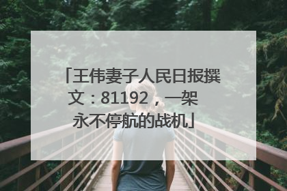 王伟妻子人民日报撰文：81192，一架永不停航的战机