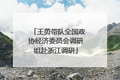 王勇带队全国政协经济委员会调研组赴浙江调研