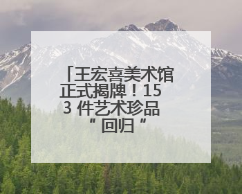 王宏喜美术馆正式揭牌！153 件艺术珍品 “ 回归 ” 连云港，并向市民免费开放