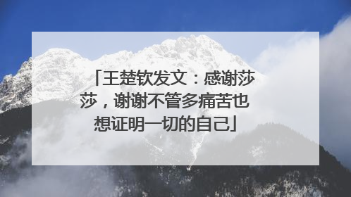 王楚钦发文：感谢莎莎，谢谢不管多痛苦也想证明一切的自己
