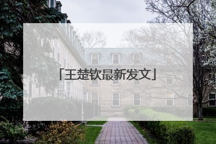 王楚钦最新发文
