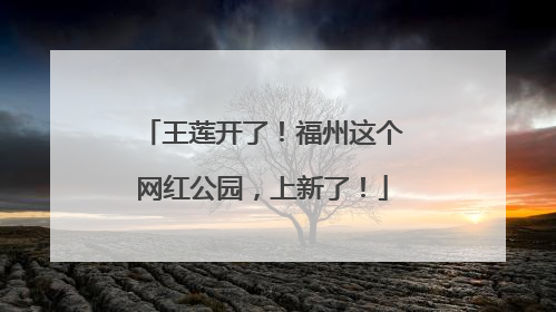 王莲开了！福州这个网红公园，上新了！