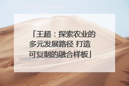 王超：探索农业的多元发展路径 打造可复制的融合样板