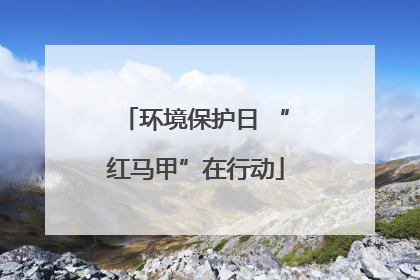 环境保护日 “红马甲”在行动