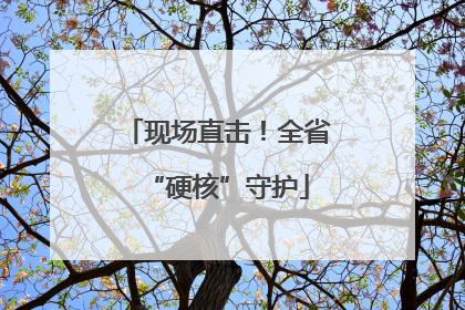 现场直击！全省“硬核”守护