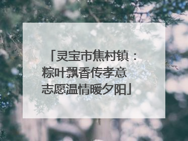 灵宝市焦村镇：粽叶飘香传孝意 志愿温情暖夕阳