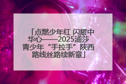 点燃少年红 闪耀中华心——2025浦莎青少年“手拉手”陕西路线丝路续新章