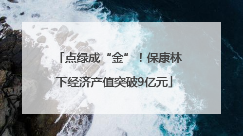 点绿成“金”！保康林下经济产值突破9亿元