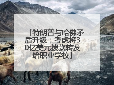 特朗普与哈佛矛盾升级：考虑将30亿美元拨款转发给职业学校
