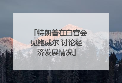 特朗普在白宫会见鲍威尔 讨论经济发展情况