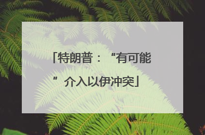 特朗普：“有可能”介入以伊冲突