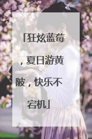 狂炫蓝莓，夏日游黄陂，快乐不宕机