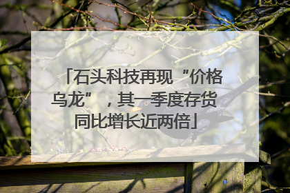 石头科技再现“价格乌龙”，其一季度存货同比增长近两倍