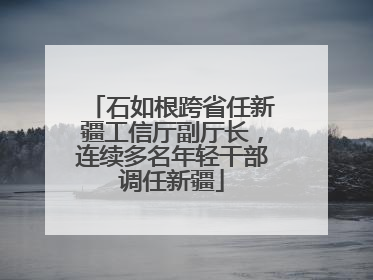 石如根跨省任新疆工信厅副厅长，连续多名年轻干部调任新疆