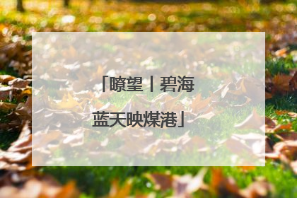 瞭望丨碧海蓝天映煤港