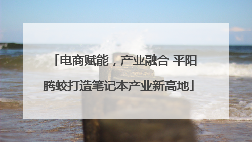 电商赋能，产业融合 平阳腾蛟打造笔记本产业新高地