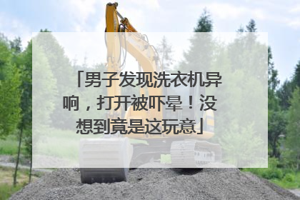 男子发现洗衣机异响，打开被吓晕！没想到竟是这玩意
