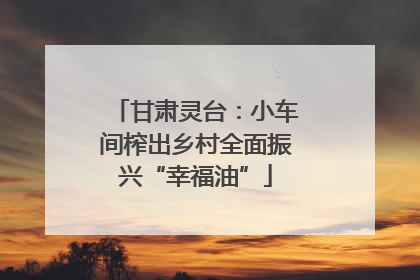 甘肃灵台：小车间榨出乡村全面振兴“幸福油”
