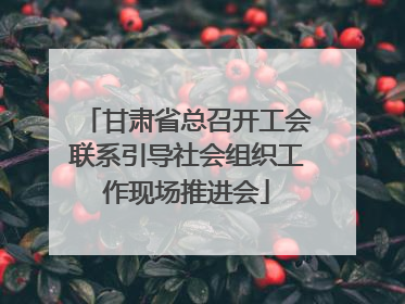 甘肃省总召开工会联系引导社会组织工作现场推进会
