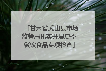 甘肃省武山县市场监管局扎实开展夏季餐饮食品专项检查