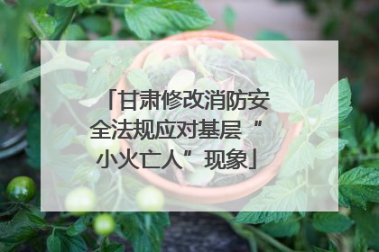 甘肃修改消防安全法规应对基层“小火亡人”现象