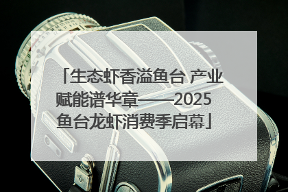 生态虾香溢鱼台 产业赋能谱华章——2025鱼台龙虾消费季启幕