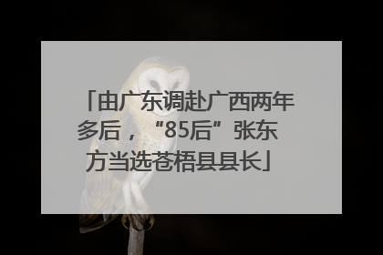 由广东调赴广西两年多后，“85后”张东方当选苍梧县县长