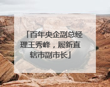 百年央企副总经理王秀峰，履新直辖市副市长