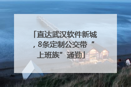 直达武汉软件新城，8条定制公交带“上班族”通勤