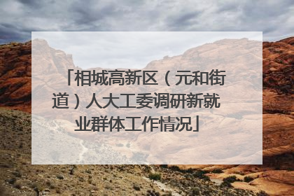 相城高新区（元和街道）人大工委调研新就业群体工作情况