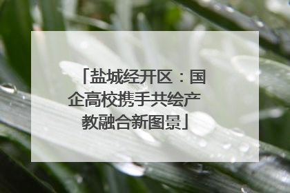 盐城经开区：国企高校携手共绘产教融合新图景