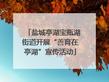 盐城亭湖宝瓶湖街道开展“善育在亭湖”宣传活动