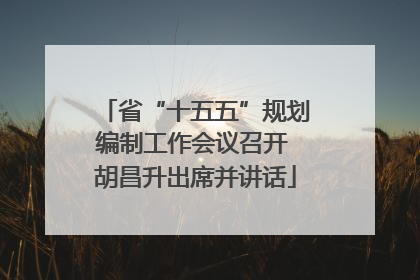 省“十五五”规划编制工作会议召开 胡昌升出席并讲话