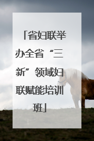 省妇联举办全省“三新”领域妇联赋能培训班