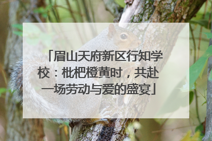 眉山天府新区行知学校：枇杷橙黄时，共赴一场劳动与爱的盛宴