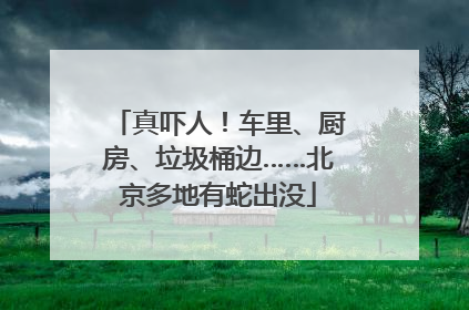 真吓人！车里、厨房、垃圾桶边……北京多地有蛇出没
