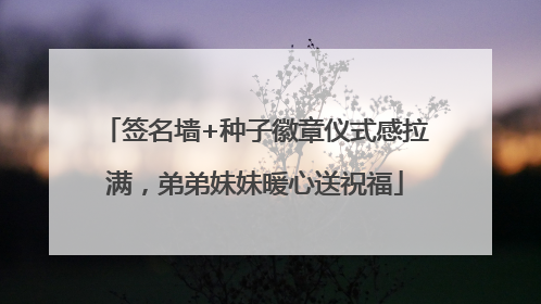签名墙+种子徽章仪式感拉满，弟弟妹妹暖心送祝福