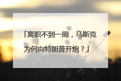 离职不到一周，马斯克为何向特朗普开炮？